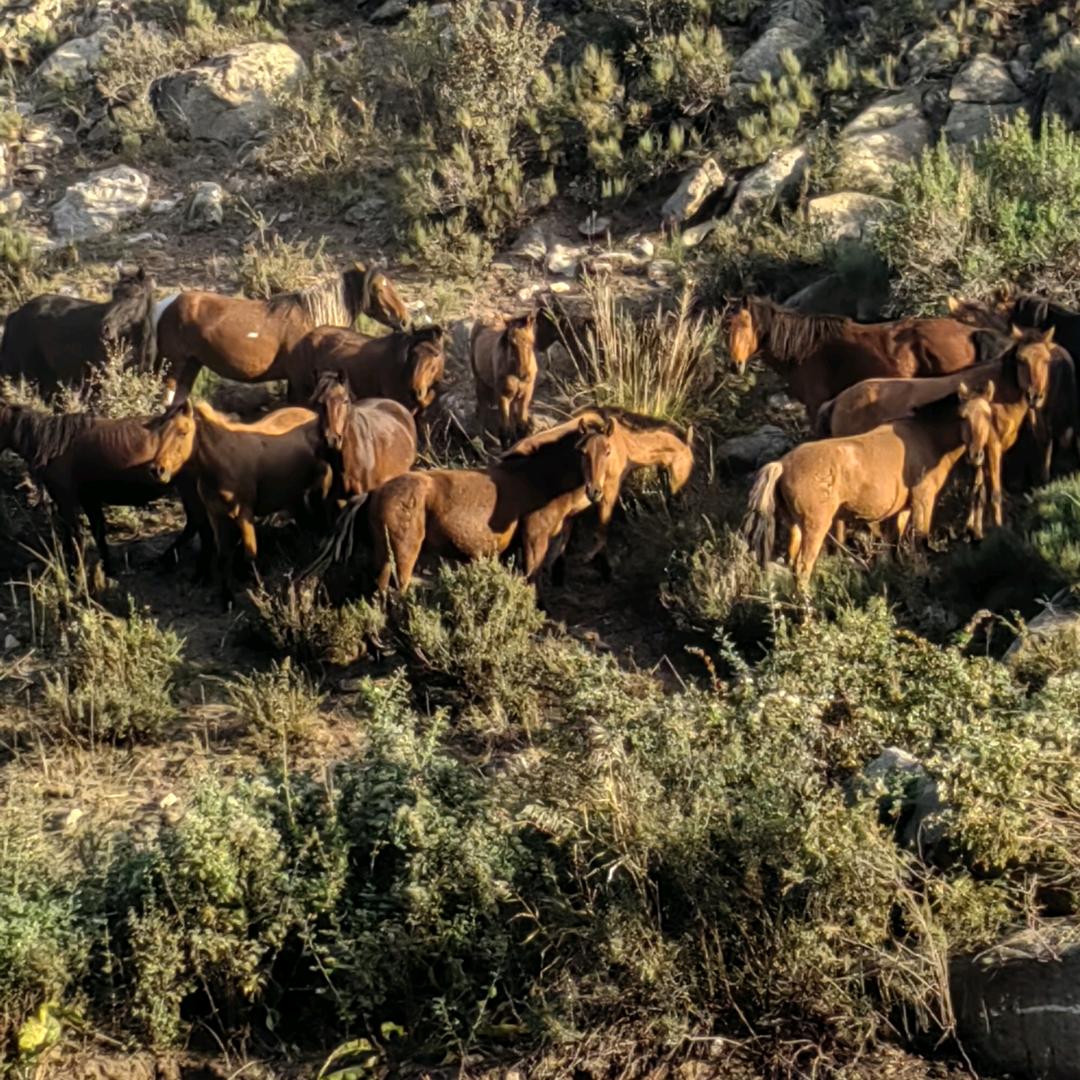 用户8604733612696西北东哥