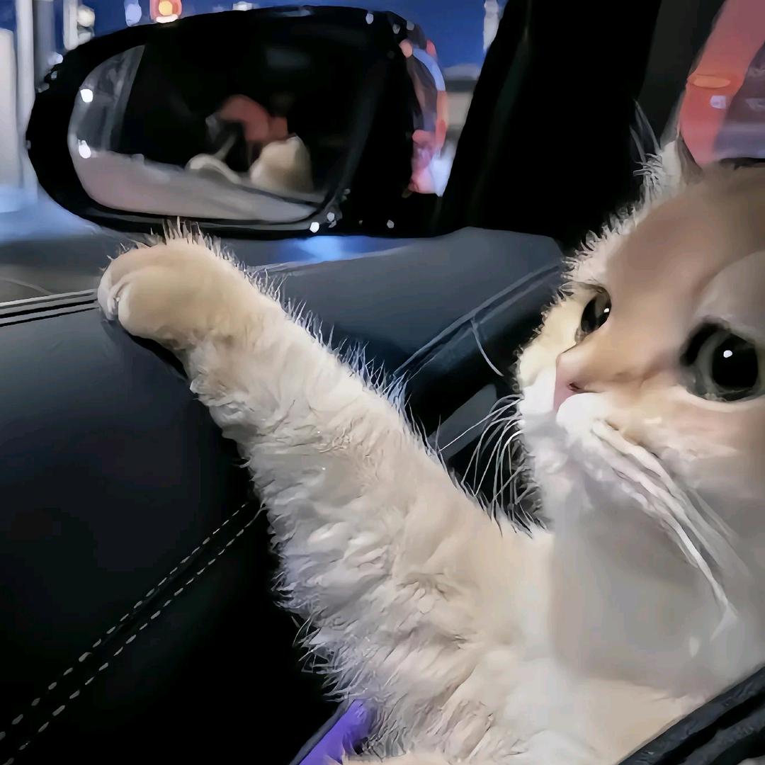 一颗红心❤️