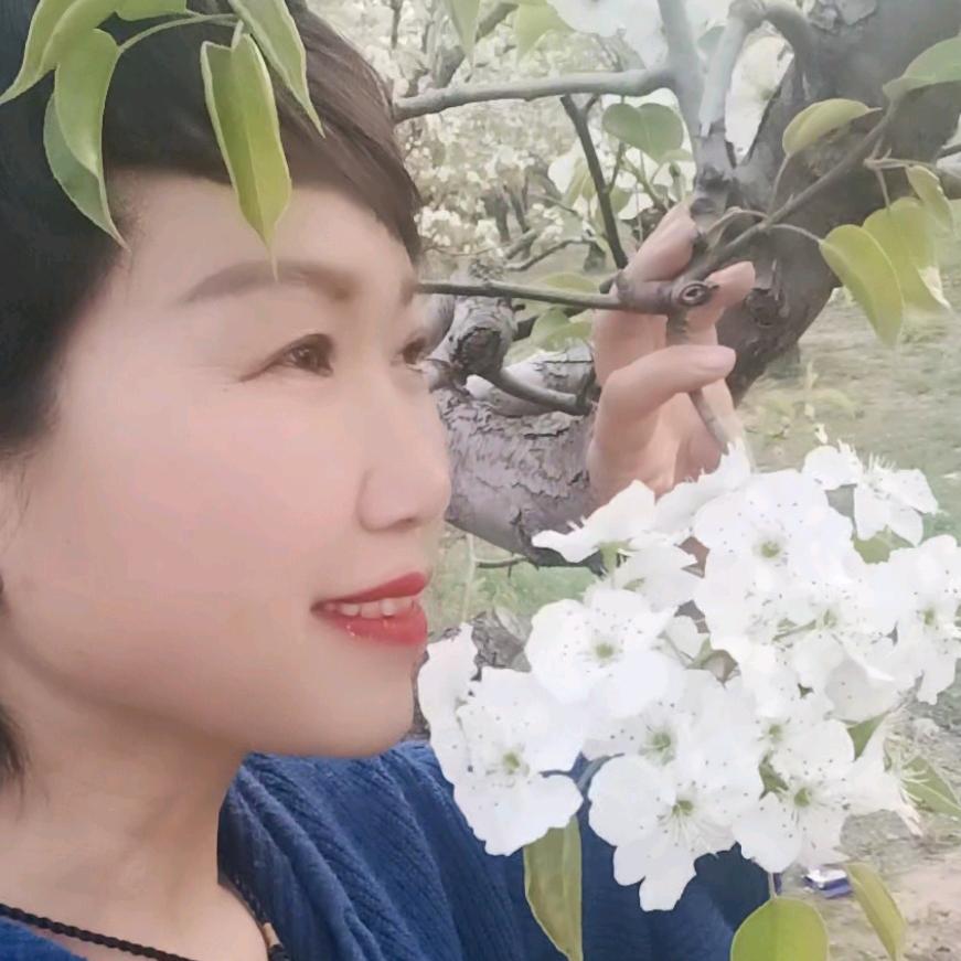 凤栖于梧