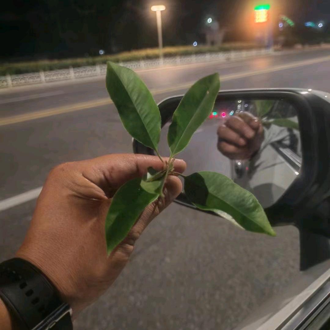 小尹