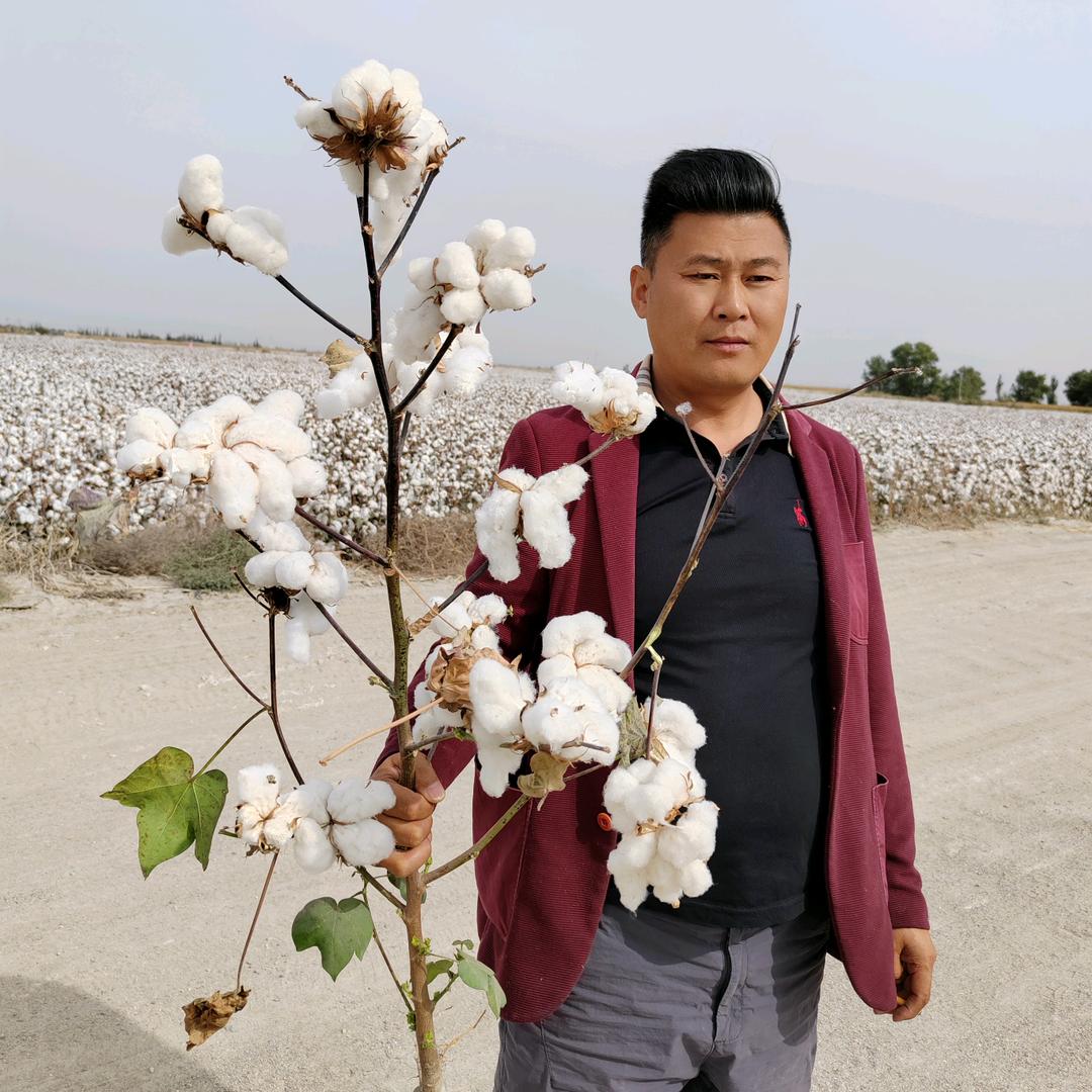 巴州疆小棉种业