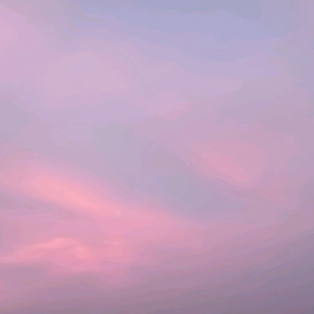浩浩哥