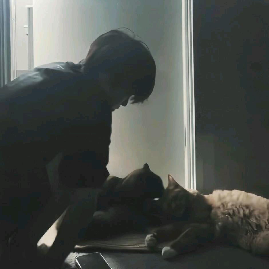 妻子出轨的那一夜我只能刷抖音散心.