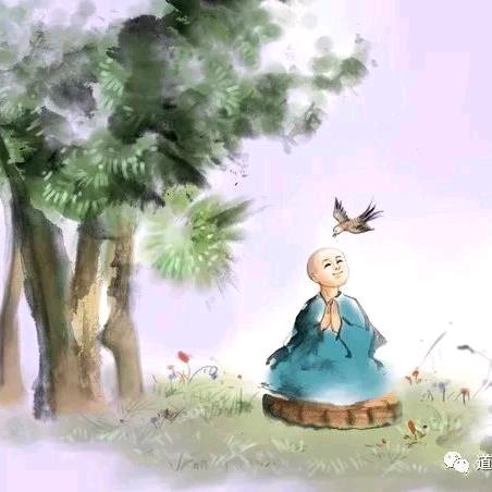 善待💤🍎