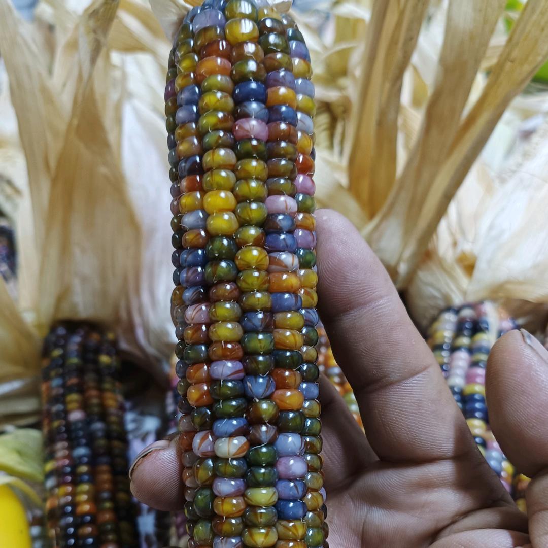 珍植源工艺美术品中心