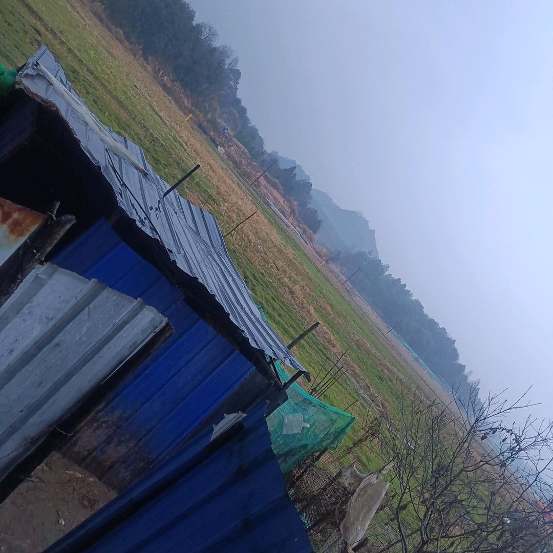乡村味道