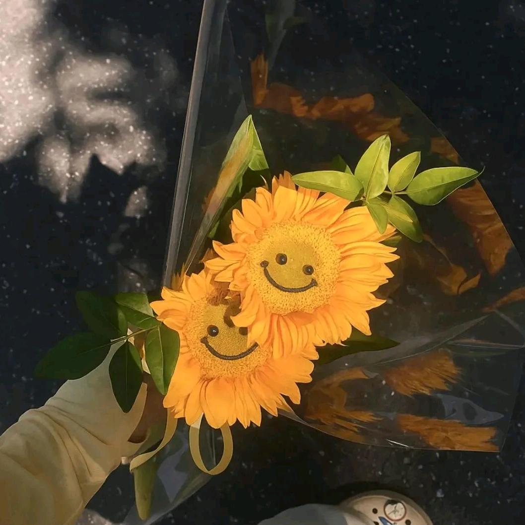 ℳঞ人间🌸的小迷糊🦋