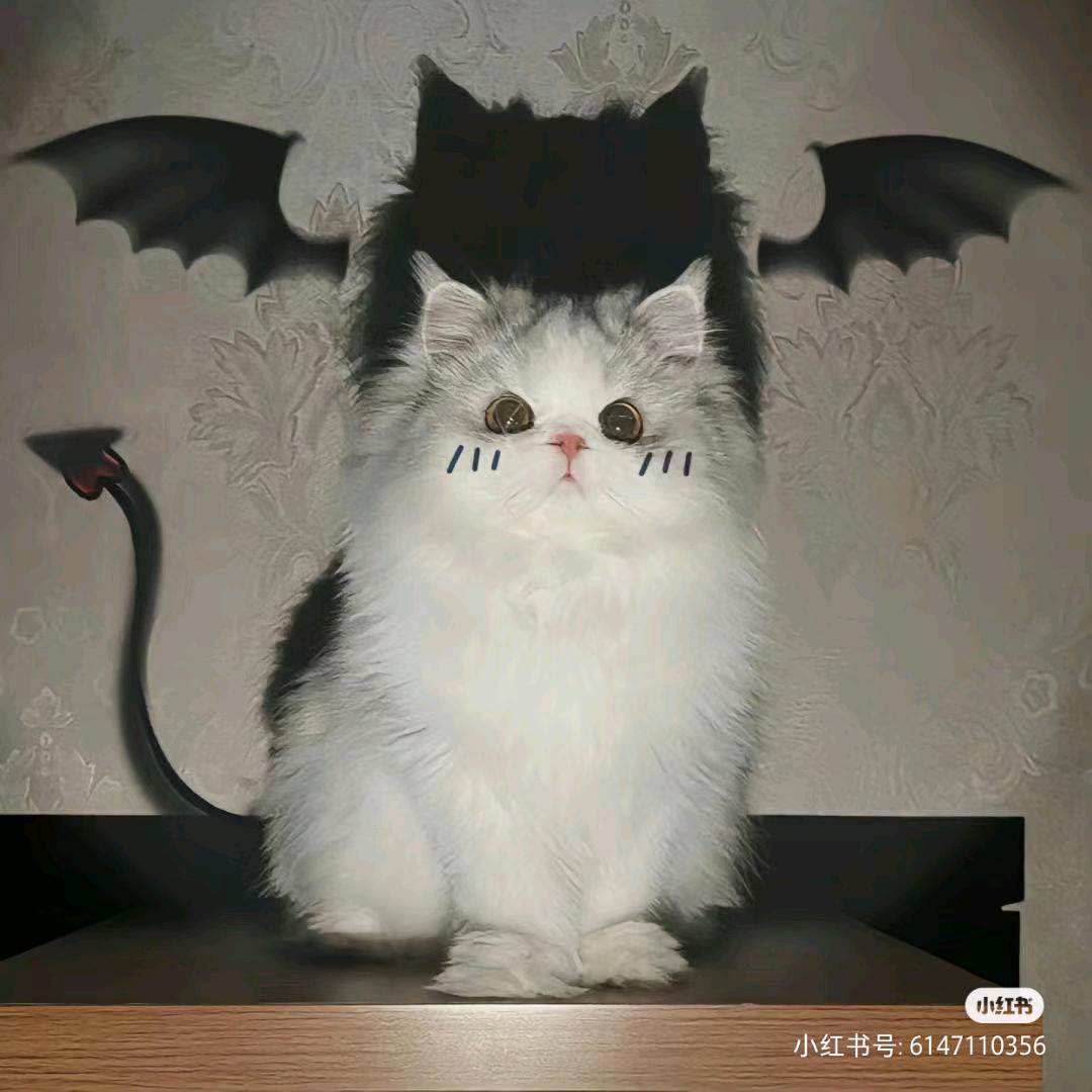 小地瓜