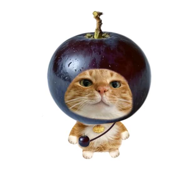反正要