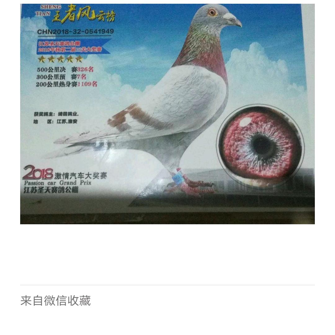 人生幸福靠自己。
