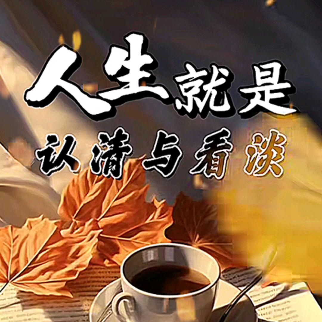 铿锵玫瑰