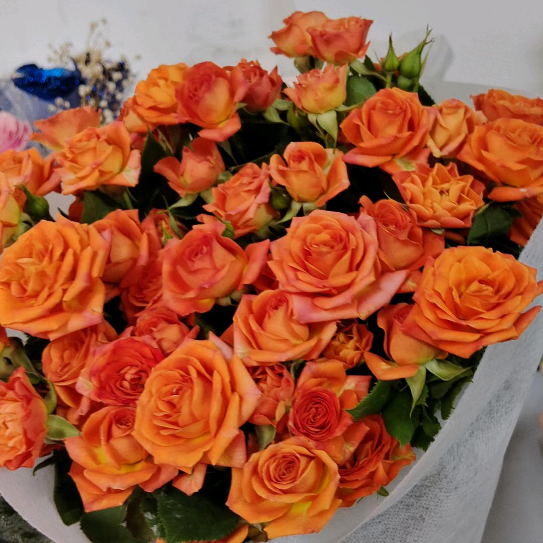 环环屿花