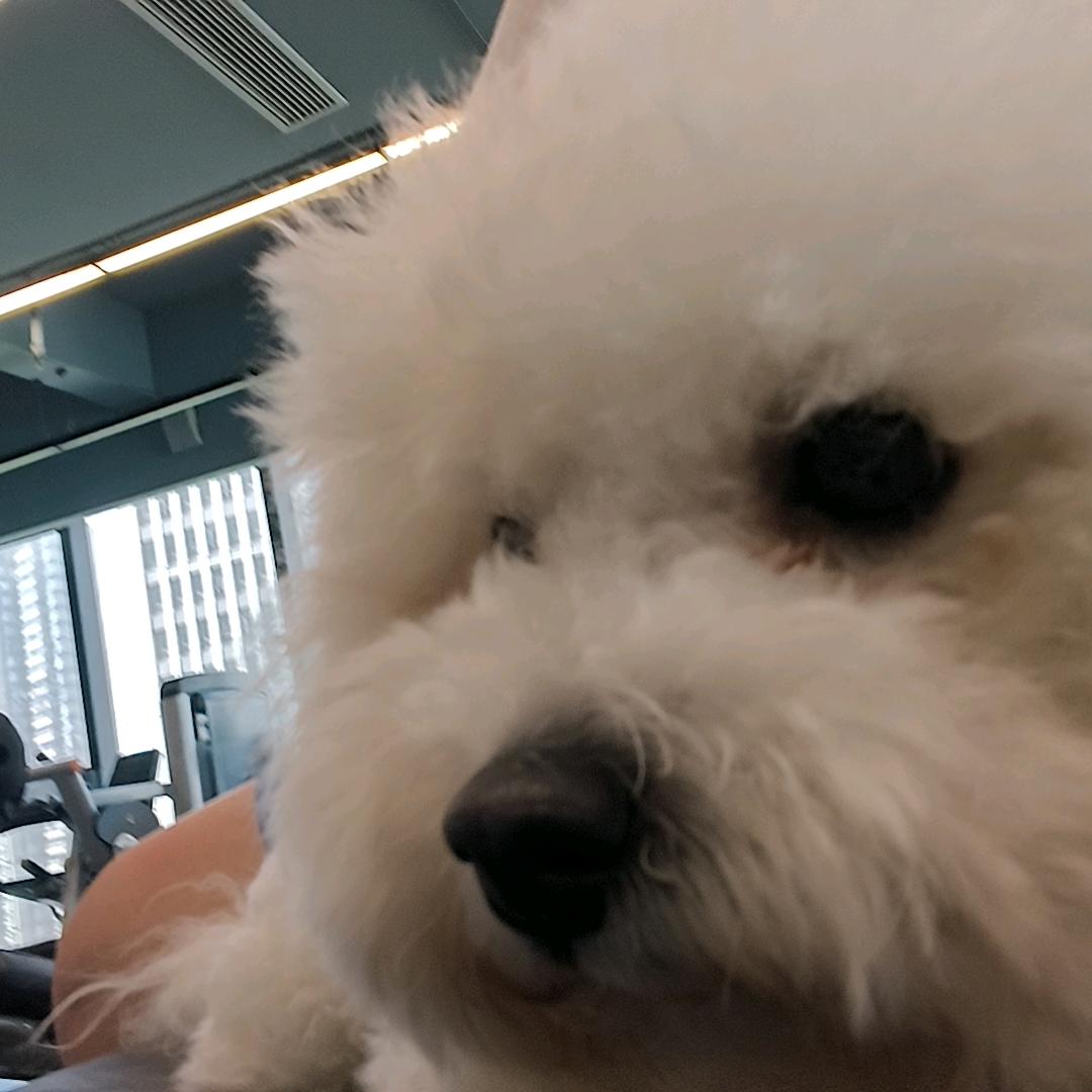 憨