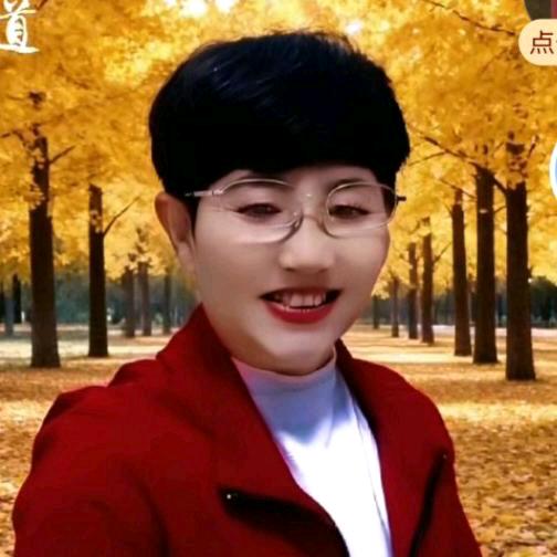 风中玫瑰
