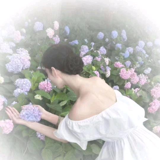 菁菁
