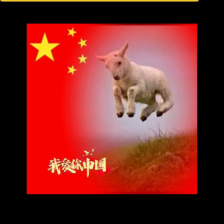 会飞的绵羊