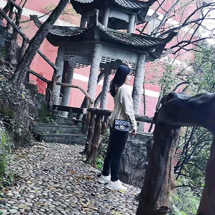 珊珊姐