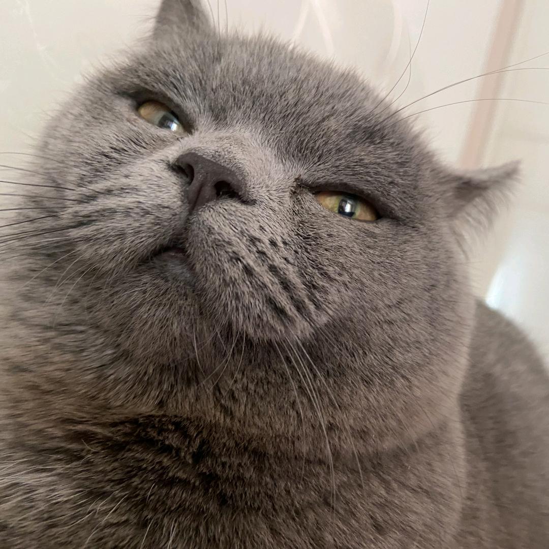 🔥Mine4erer⁶⁸¹