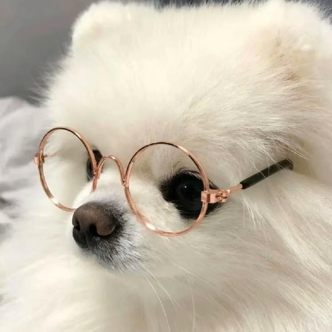 ⋆☽︎︎·̩͙晞言ᶜˣ³³⁰（漓芷）