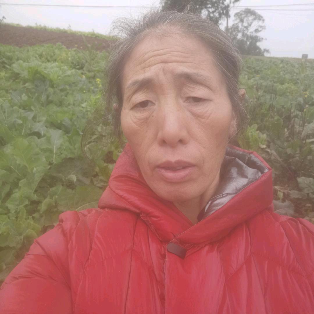阳阳妈（下午两点半）