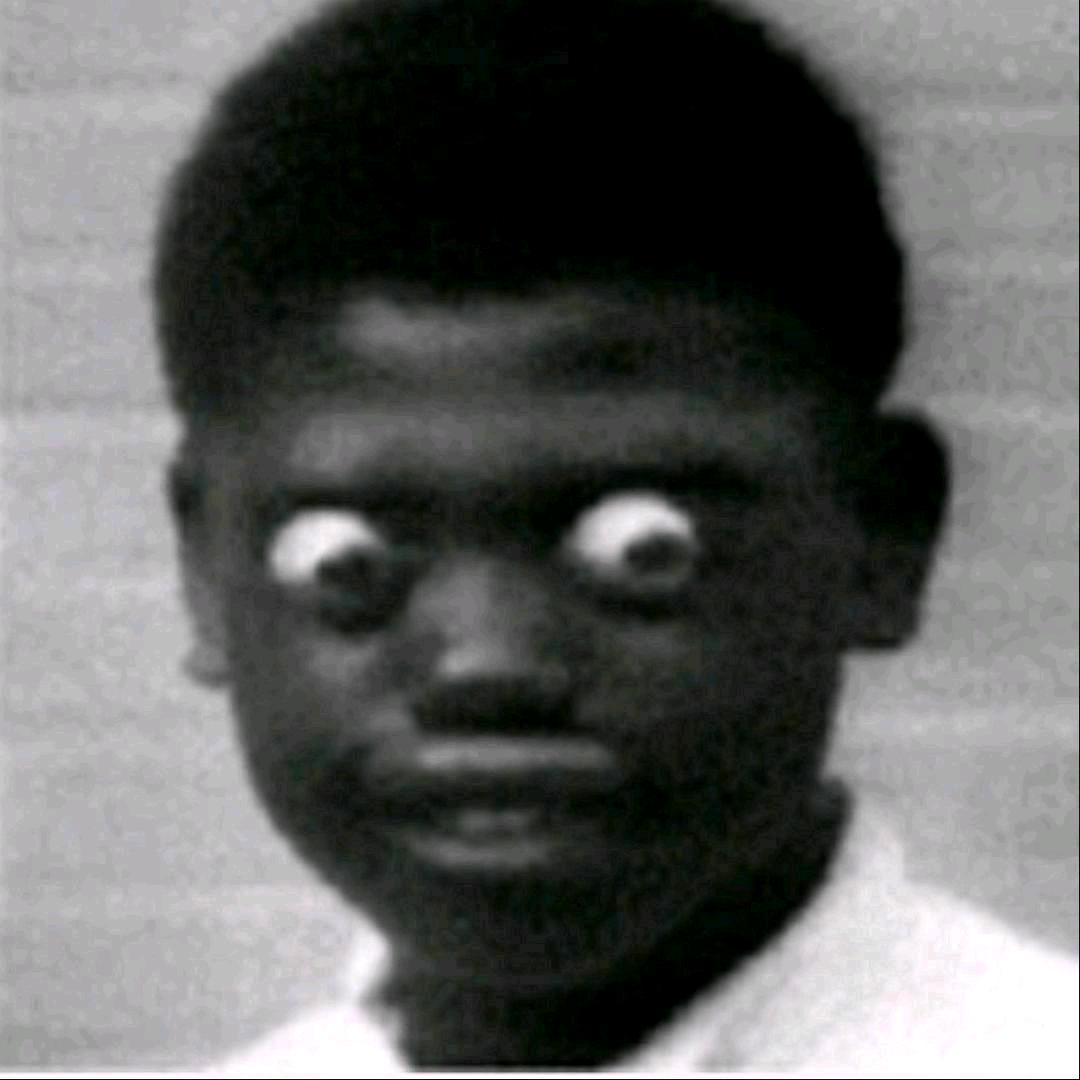 动物园黑粉头子💭