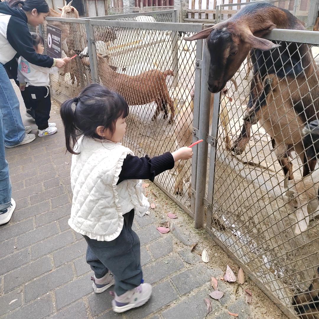 安琪宝贝（互关）
