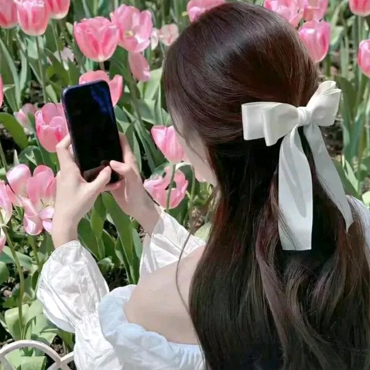 高美丽