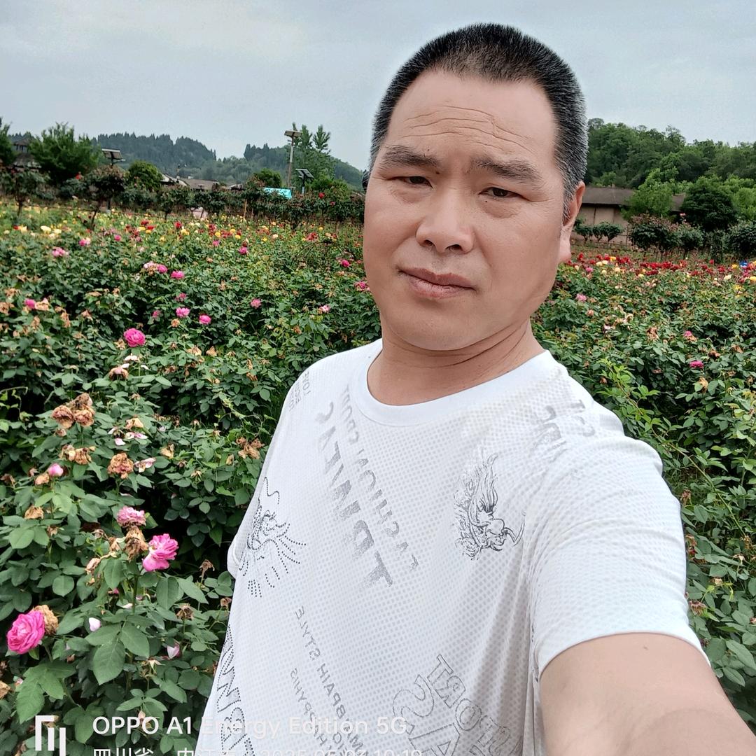 🏵 财源滚滚🏵