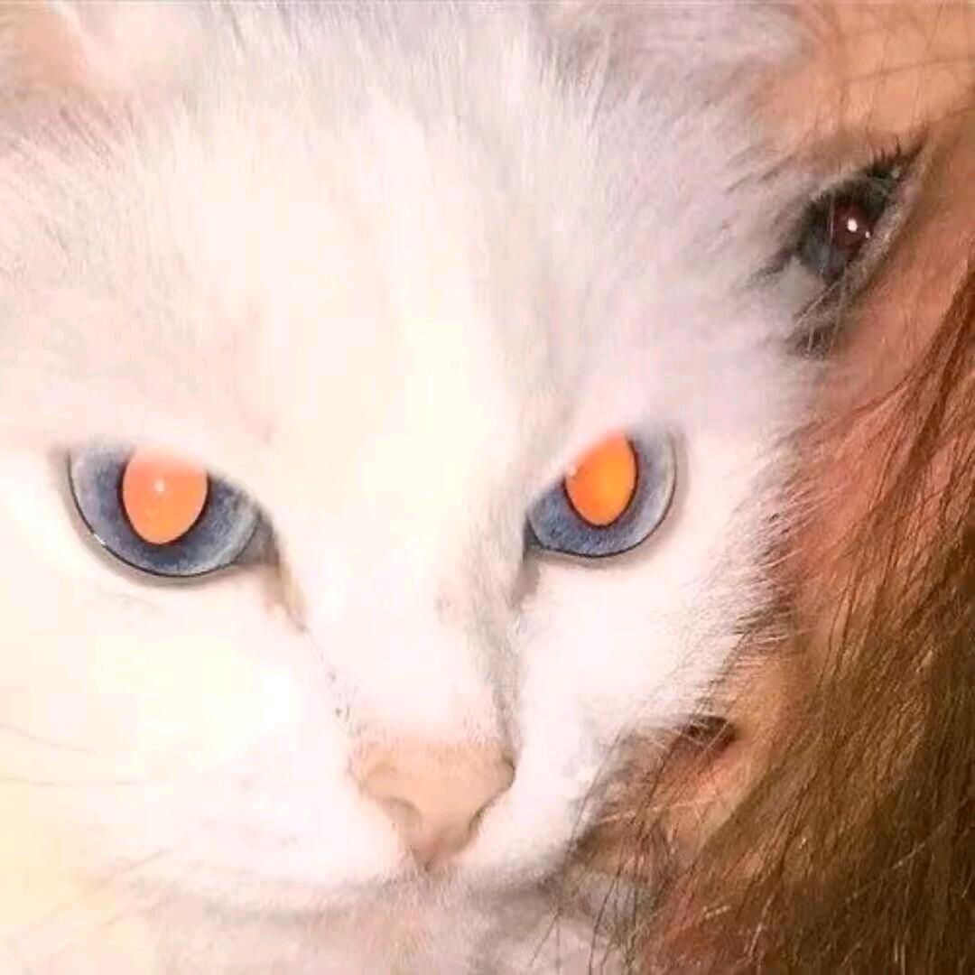 一起去看更大的世界头像