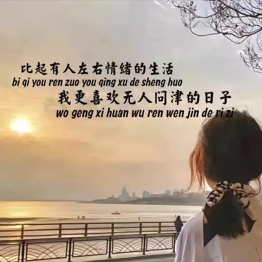 紫风铃_216495989