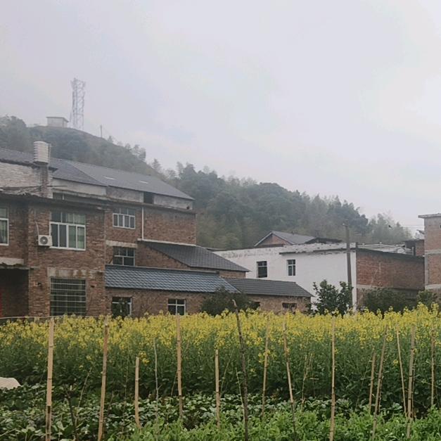 我是三哥。