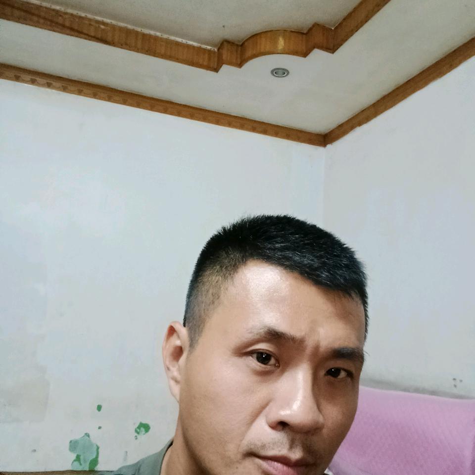 金翼村林庆