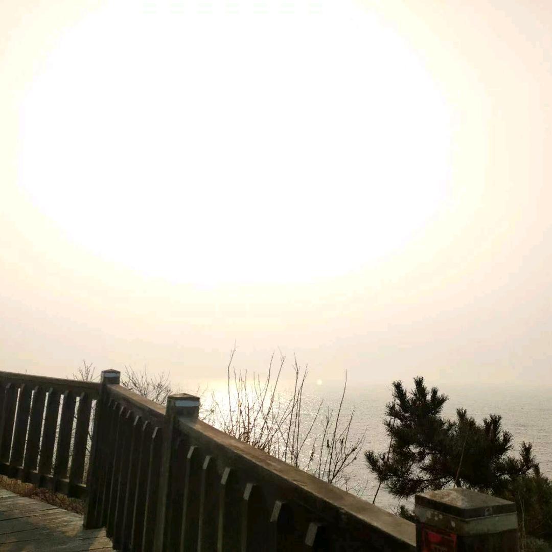 、宁静致远