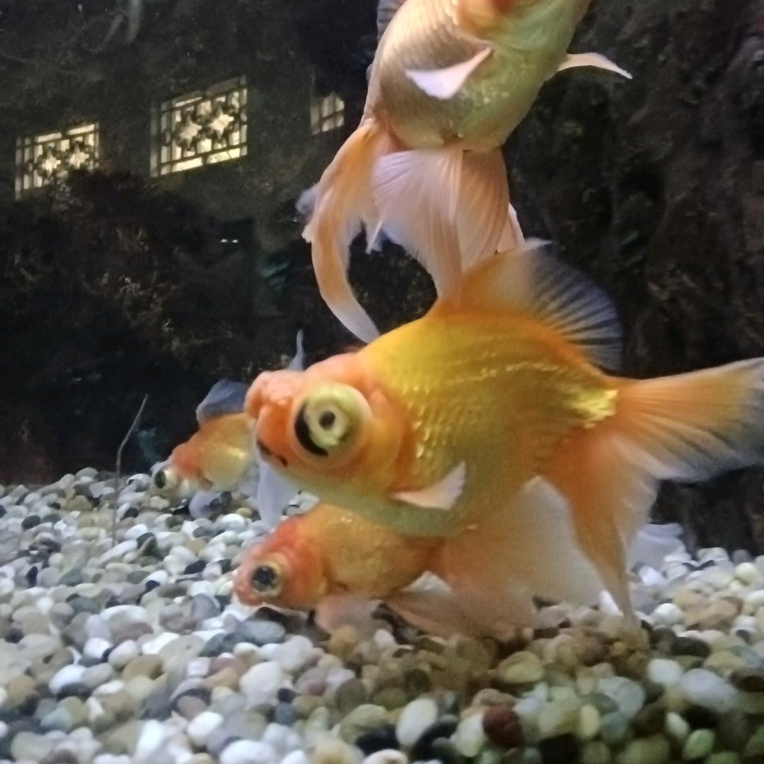 智诚维修8
