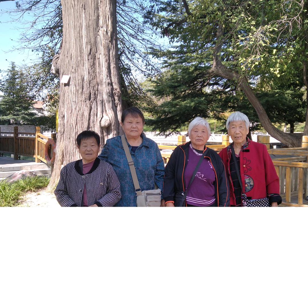 骑着蜗牛上高速