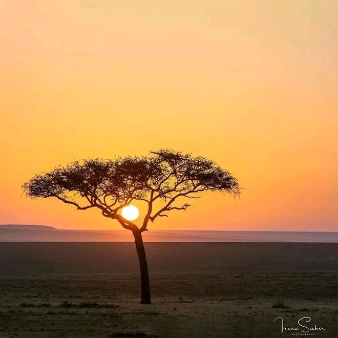 电白观珠扩众建筑机械租赁