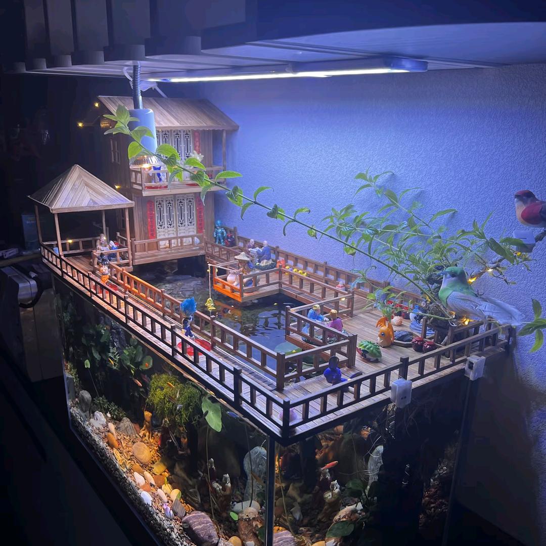 国家一级喂鱼大师