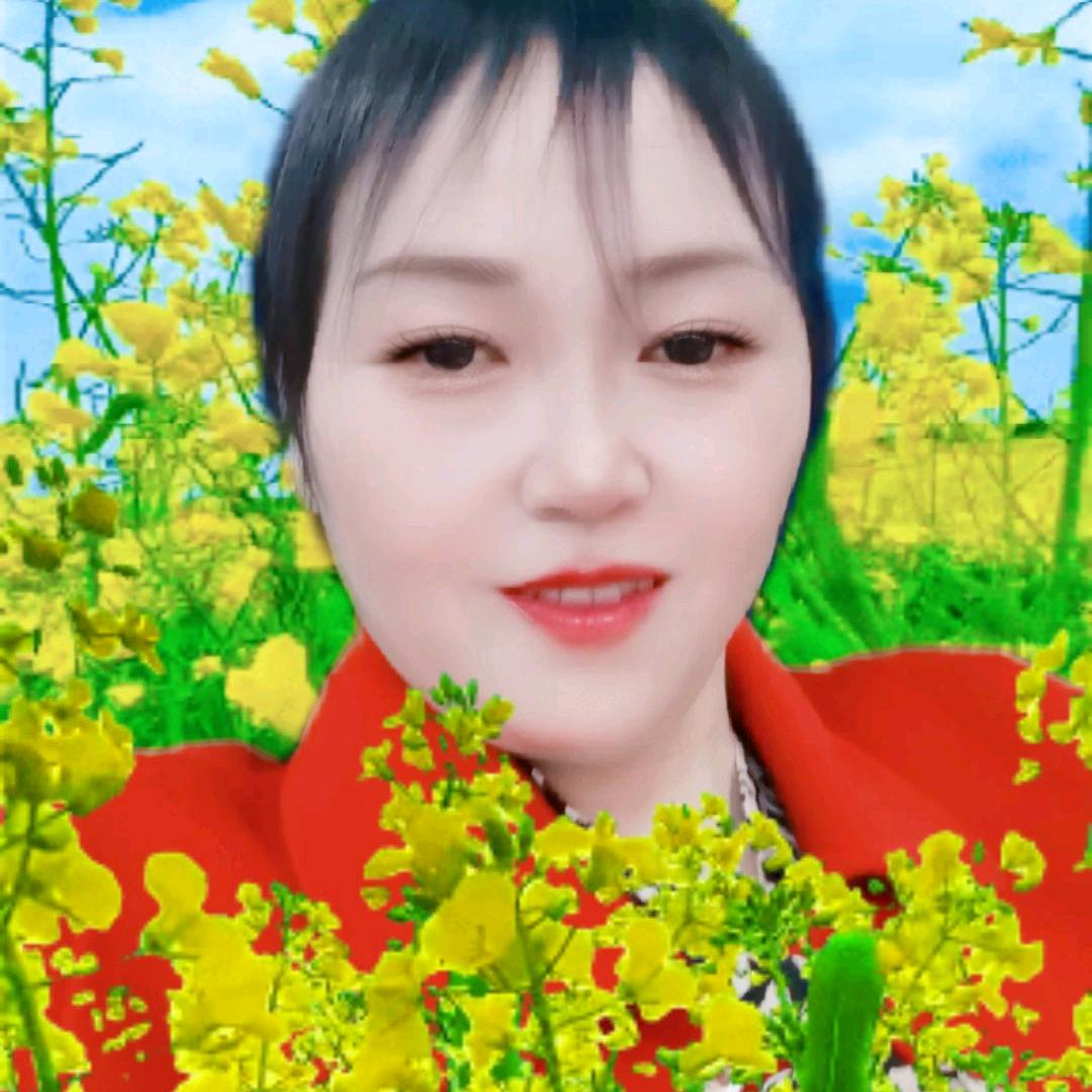 阆中何姐（家政保洁）