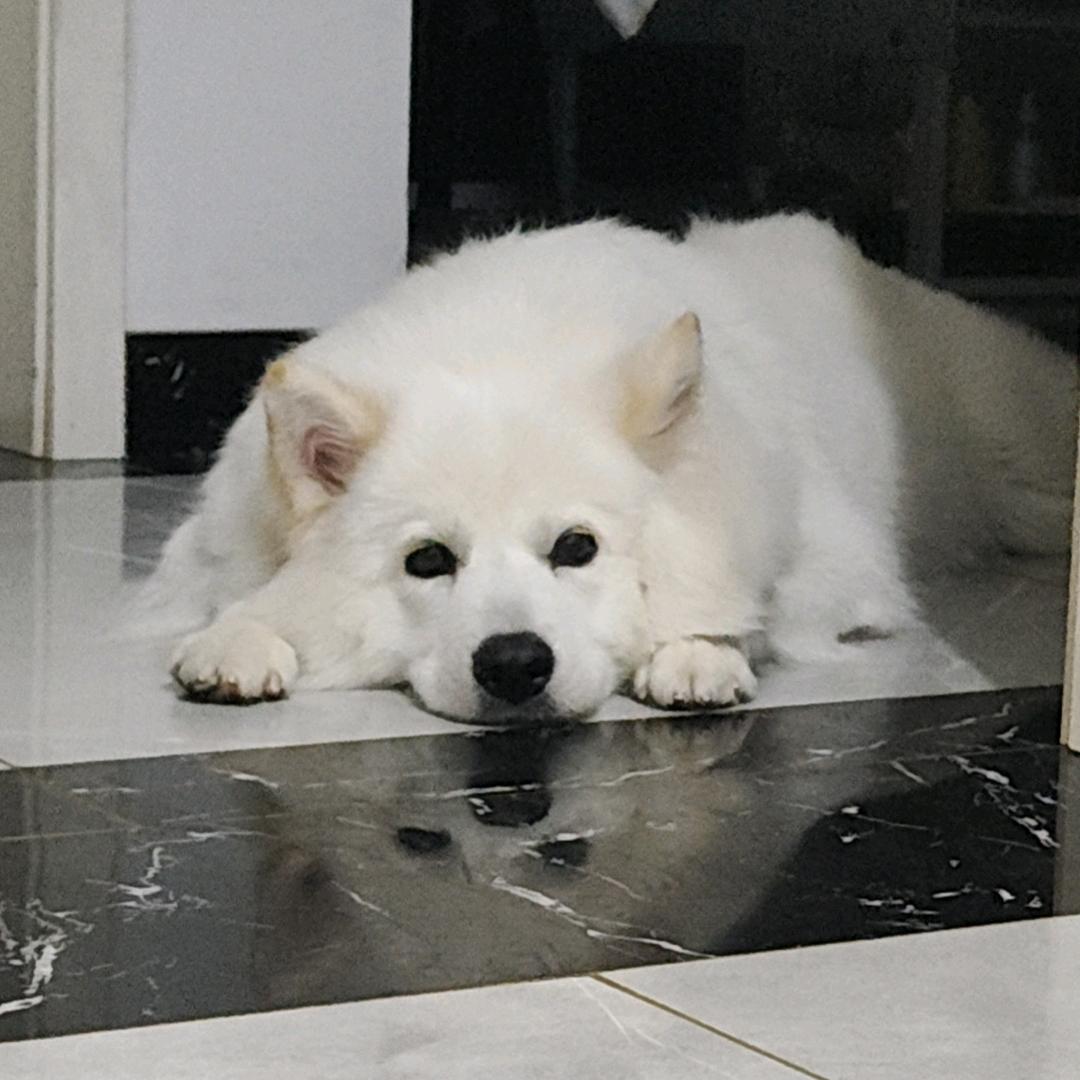 小萨是个睡觉大王