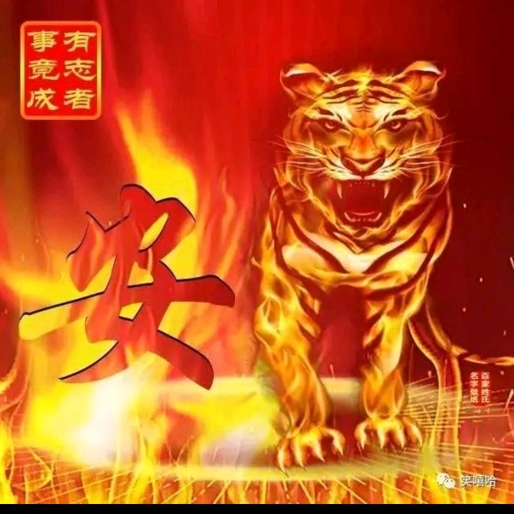 幸福无限