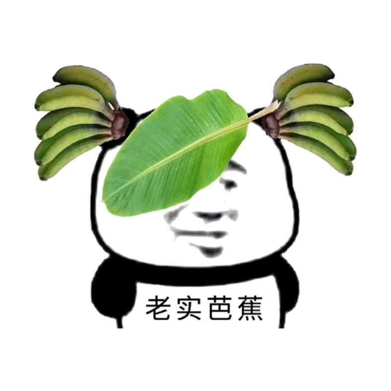 月🈷️