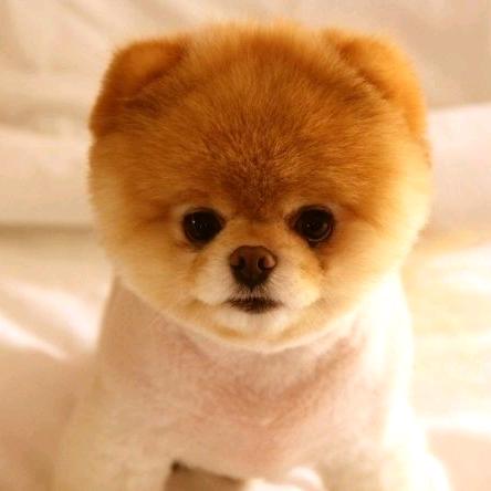 ☀️ 🌈局外看世界🌈☀️