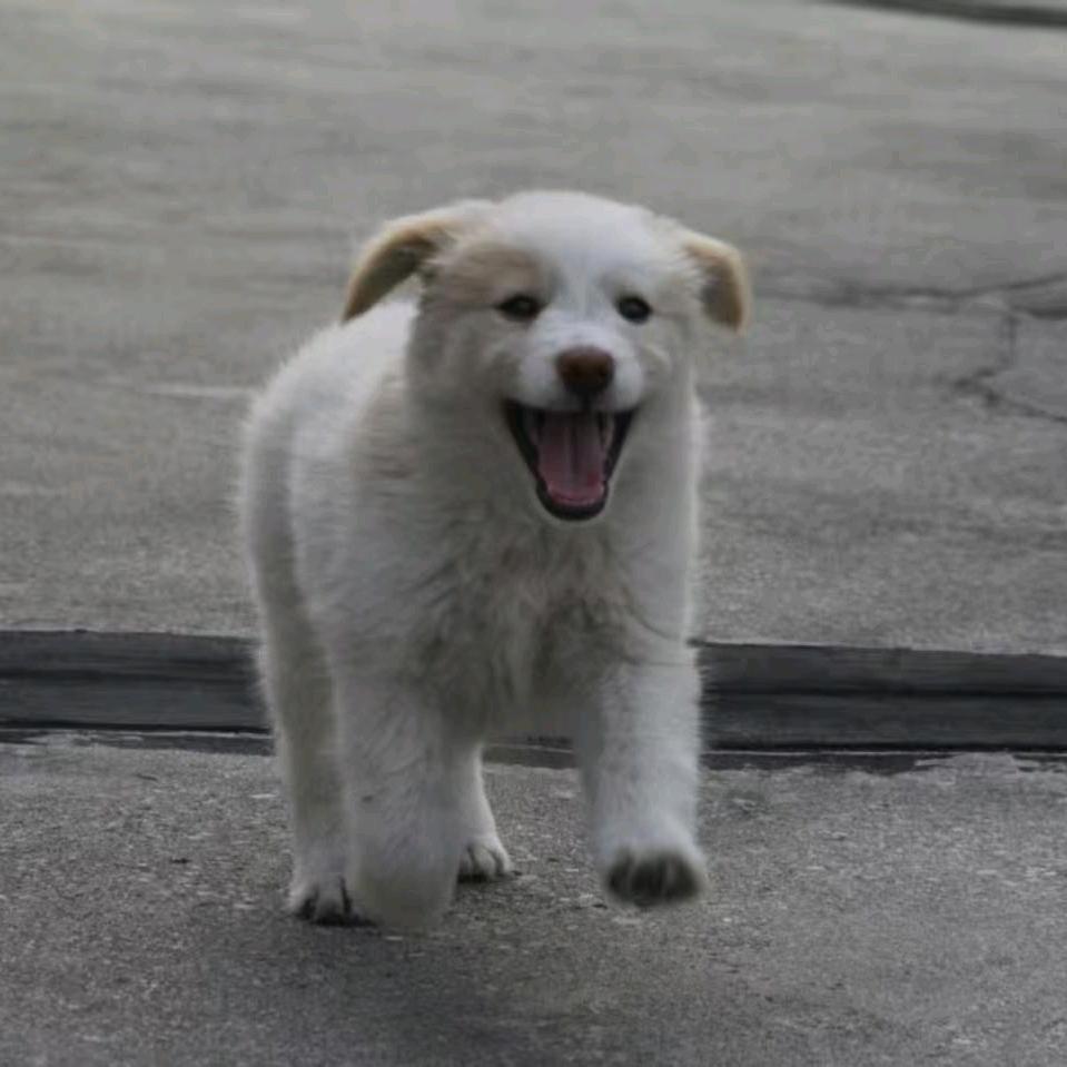 能不能别顺我打火机