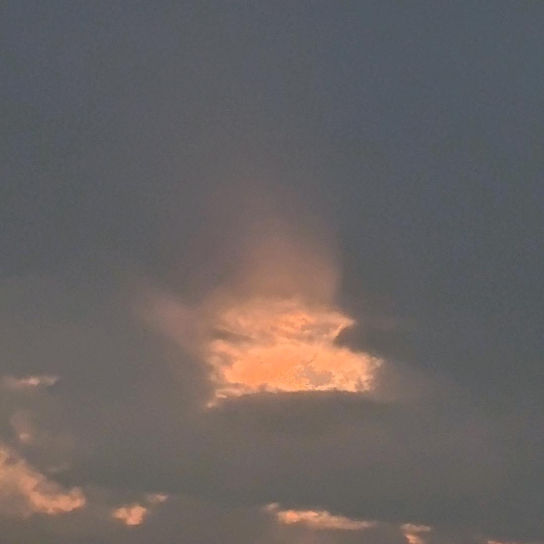 ぎ雨のぶ茚誋╰☆╮