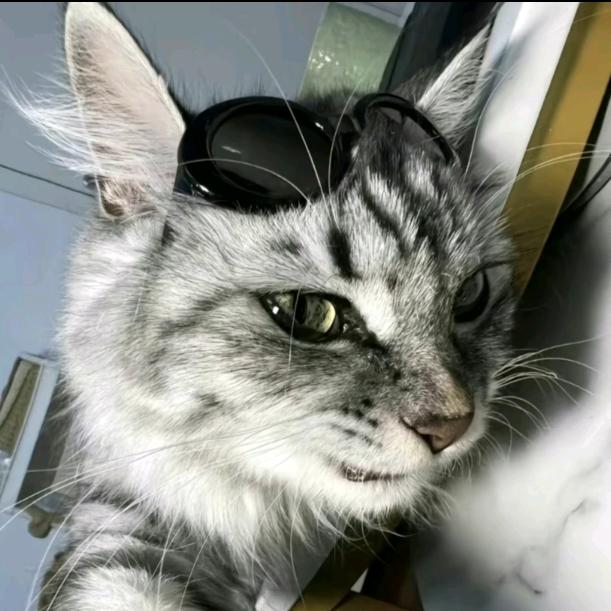 啊？我叫什么？