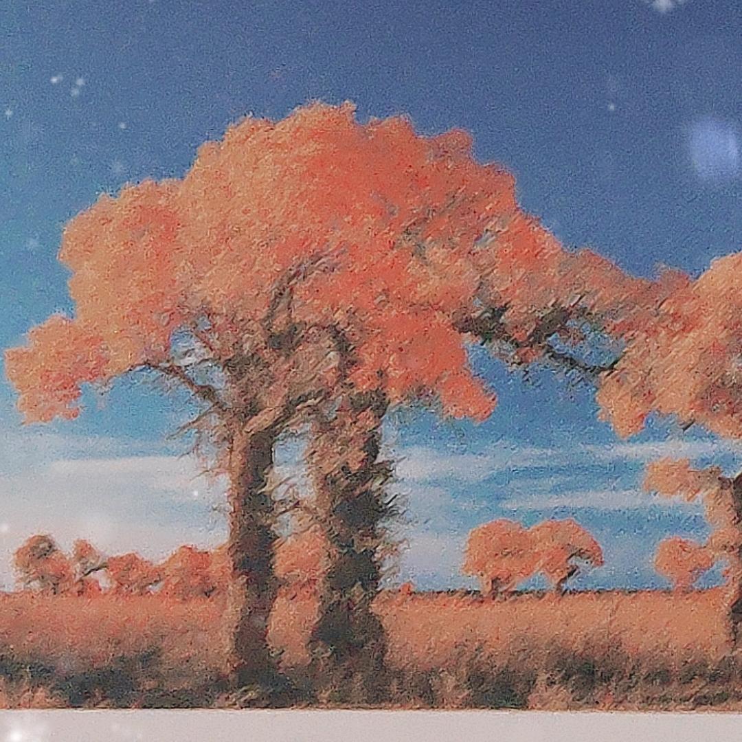 海纳国际010