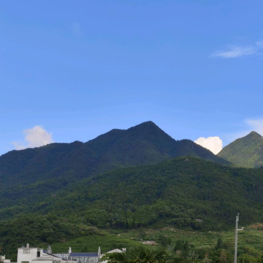 小紫爱刷盘