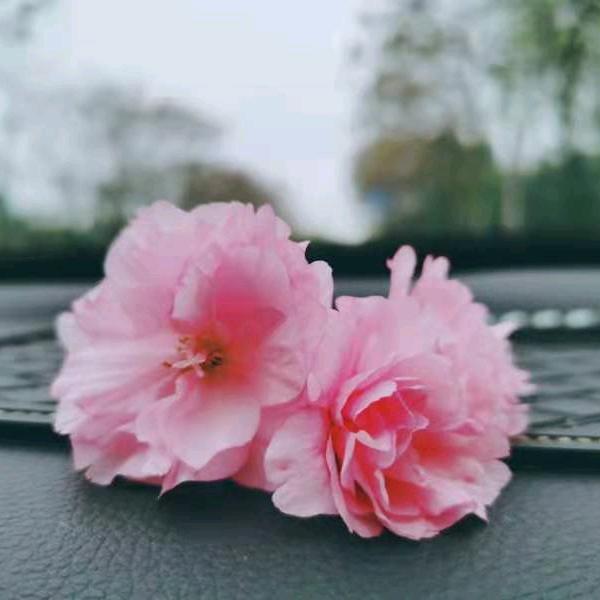 淡然⁷¹⁸