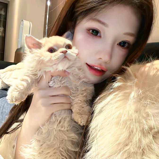 欣怡