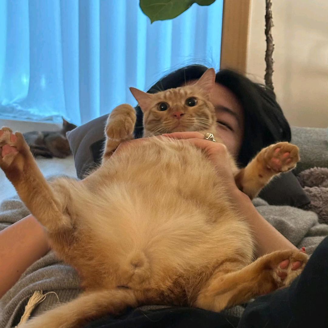 我是小W🥦